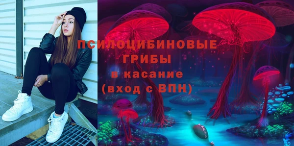 гидра Гусиноозёрск