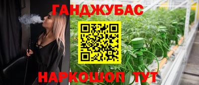 mdpv Заводоуковск