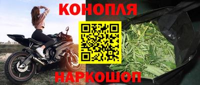 mdpv Заводоуковск