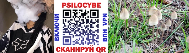 Галлюциногенные грибы GOLDEN TEACHER Арзамас